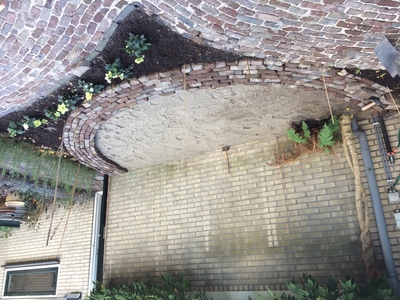 Vergroening tuin 9